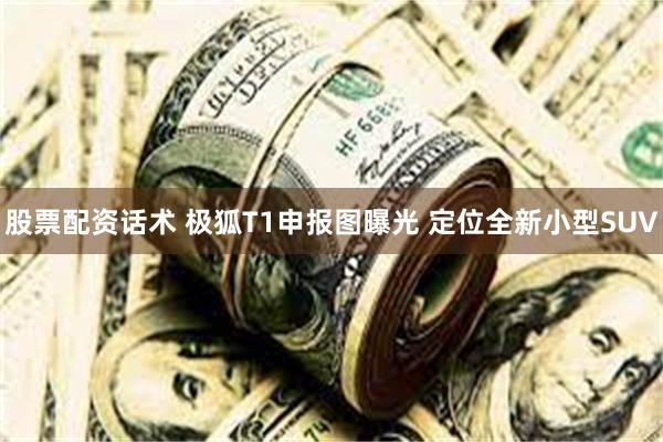 股票配资话术 极狐T1申报图曝光 定位全新小型SUV