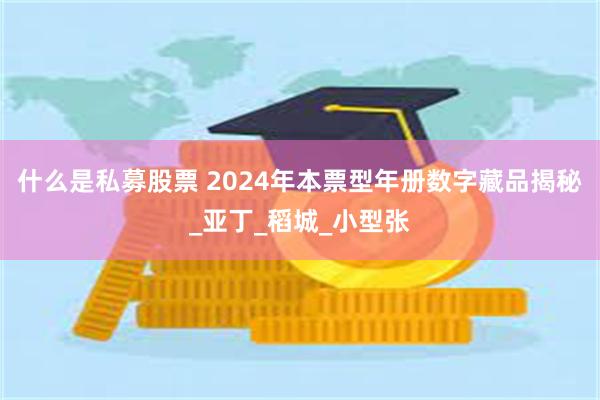 什么是私募股票 2024年本票型年册数字藏品揭秘_亚丁_稻城_小型张