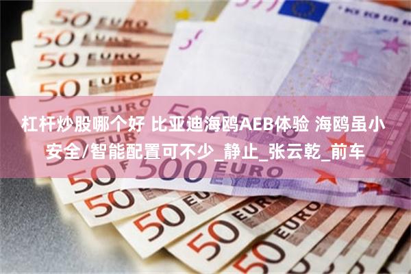 杠杆炒股哪个好 比亚迪海鸥AEB体验 海鸥虽小 安全/智能配置可不少_静止_张云乾_前车