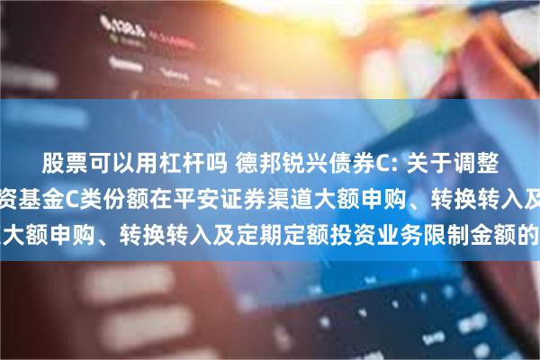 股票可以用杠杆吗 德邦锐兴债券C: 关于调整德邦锐兴债券型证券投资基金C类份额在平安证券渠道大额申购、转换转入及定期定额投资业务限制金额的公告