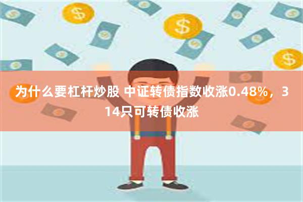 为什么要杠杆炒股 中证转债指数收涨0.48%，314只可转债收涨