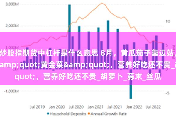 炒股指期货中杠杆是什么意思 8月，黄瓜茄子靠边站，多吃这五种应季&quot;黄金菜&quot;，营养好吃还不贵_胡萝卜_蒜末_丝瓜