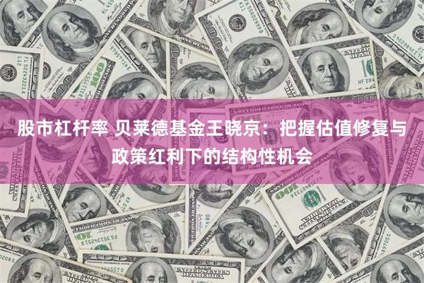 股市杠杆率 贝莱德基金王晓京：把握估值修复与政策红利下的结构性机会