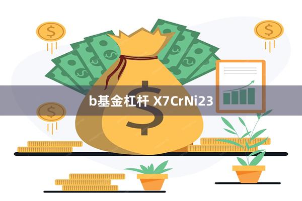 b基金杠杆 X7CrNi23
